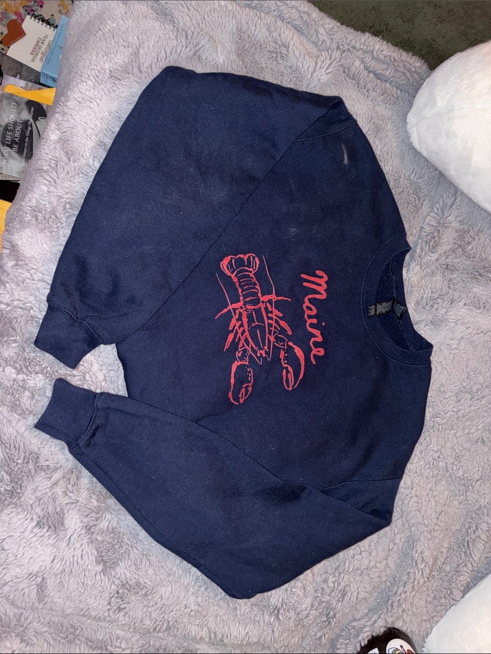 Cozy Custom Maine Lobster Graphic Sweatshirt - Navy with Red Print